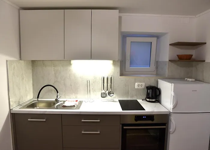 公寓 Marko 茨雷斯